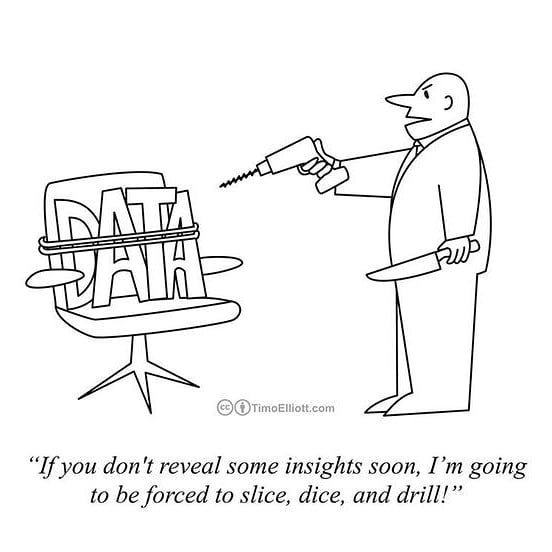Data is everything for vision models