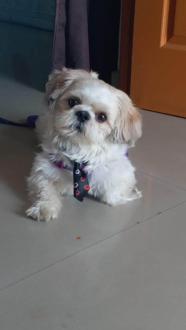 Teddy’s ready for his pose estimation debut!
