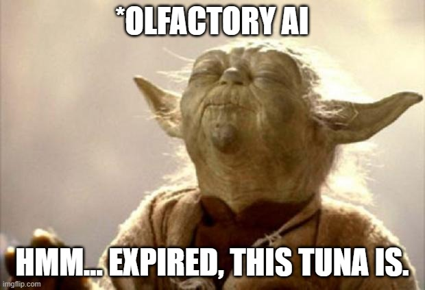 Sensory AI
