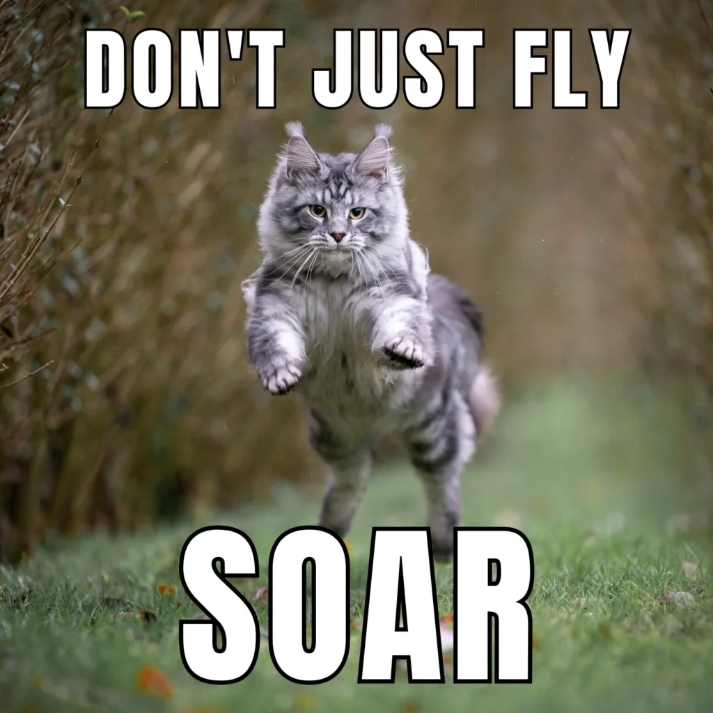 Don't just fly, soar