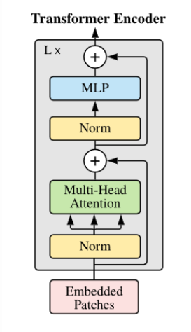 Transformer Encoder