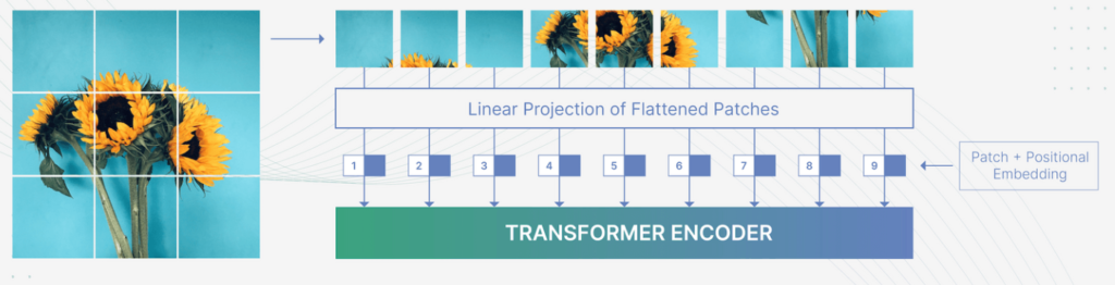 Image processing in Vision Transformer