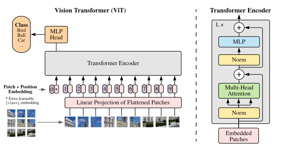Vision Transformer Architecture