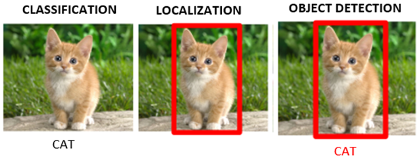 How AI interprets an image