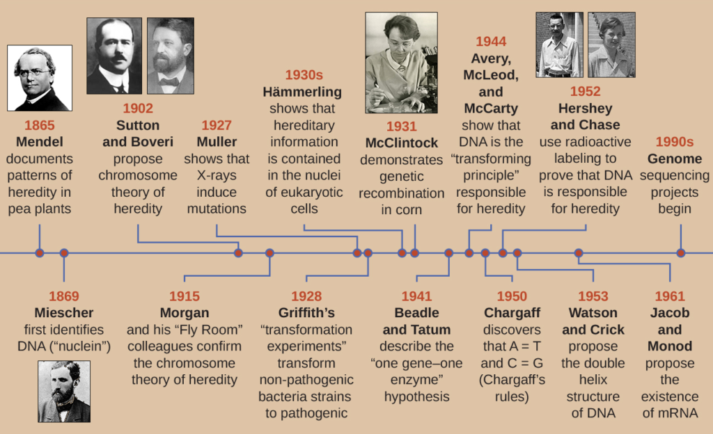 Evolution of Genetics